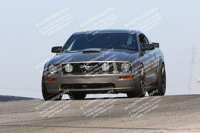 media/Oct-19-2024-Speed Ventures (Sat) [[2b24c230c9]]/Purple/Session 2 (Grapevine)/